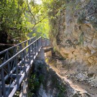 WhatsApp Image 2025-01-30 à 12.04.57_7e830b32